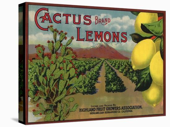 Cactus Brand - Highland, California - Citrus Crate Label-Lantern Press-Stretched Canvas