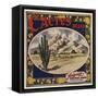 Cactus Brand - Phoenix, Arizona - Citrus Crate Label-Lantern Press-Framed Stretched Canvas