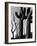 Cactus, c. 1965-Brett Weston-Framed Photographic Print