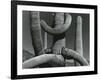 Cactus, c. 1970-Brett Weston-Framed Photographic Print