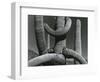 Cactus, c. 1970-Brett Weston-Framed Photographic Print