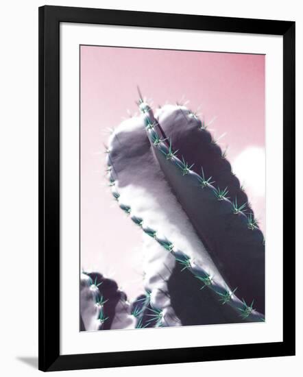 Cactus Captiva-Malcolm Sanders-Framed Giclee Print