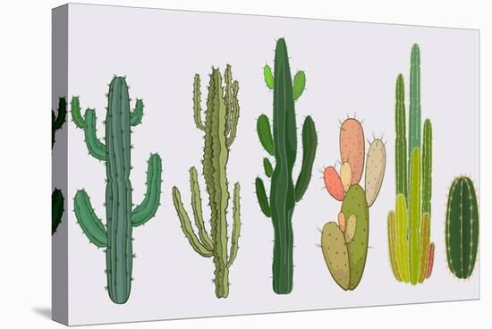 Cactus Collection in Vector Illustration-Roberto Chicano-Stretched Canvas