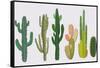 Cactus Collection in Vector Illustration-Roberto Chicano-Framed Stretched Canvas