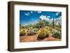 Cactus Country Cactus Garden Cactus Display Forest Park Strathmerton Victoria-Henry During-Framed Photographic Print