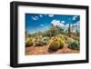 Cactus Country Cactus Garden Cactus Display Forest Park Strathmerton Victoria-Henry During-Framed Photographic Print