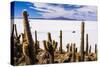 Cactus Covered Fish Island (Isla Incahuasi) (Inka Wasi), Uyuni, Bolivia-Matthew Williams-Ellis-Stretched Canvas