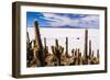 Cactus Covered Fish Island (Isla Incahuasi) (Inka Wasi), Uyuni, Bolivia-Matthew Williams-Ellis-Framed Photographic Print