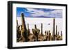 Cactus Covered Fish Island (Isla Incahuasi) (Inka Wasi), Uyuni, Bolivia-Matthew Williams-Ellis-Framed Photographic Print