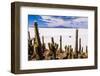 Cactus Covered Fish Island (Isla Incahuasi) (Inka Wasi), Uyuni, Bolivia-Matthew Williams-Ellis-Framed Photographic Print