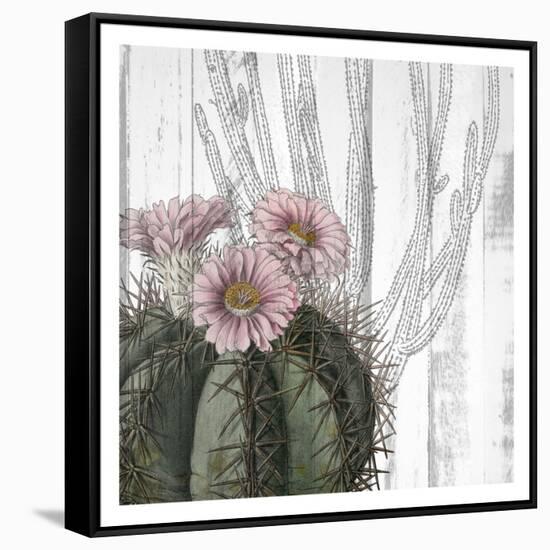 Cactus Cowboy 1-Kimberly Allen-Framed Stretched Canvas