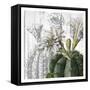 Cactus Cowboy 3-Kimberly Allen-Framed Stretched Canvas