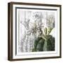 Cactus Cowboy 3-Kimberly Allen-Framed Art Print