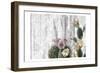 Cactus Cowboy 5-Kimberly Allen-Framed Art Print