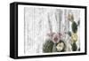 Cactus Cowboy 5-Kimberly Allen-Framed Stretched Canvas