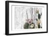 Cactus Cowboy 5-Kimberly Allen-Framed Premium Giclee Print