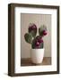 Cactus, Decorates, Christmas Tree Balls-Nikky-Framed Photographic Print