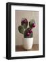 Cactus, Decorates, Christmas Tree Balls-Nikky-Framed Photographic Print