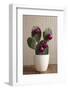 Cactus, Decorates, Christmas Tree Balls-Nikky-Framed Photographic Print