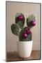 Cactus, Decorates, Christmas Tree Balls-Nikky-Mounted Photographic Print