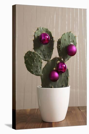 Cactus, Decorates, Christmas Tree Balls-Nikky-Stretched Canvas