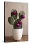 Cactus, Decorates, Christmas Tree Balls-Nikky-Stretched Canvas