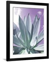 Cactus Delray-Malcolm Sanders-Framed Giclee Print