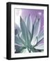 Cactus Delray-Malcolm Sanders-Framed Giclee Print