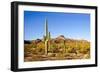 Cactus Desert Landscape. Cactuses View. Cacti Desert Landscape-Dmitry Demkin-Framed Photographic Print