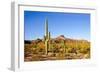 Cactus Desert Landscape. Cactuses View. Cacti Desert Landscape-Dmitry Demkin-Framed Photographic Print