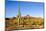 Cactus Desert Landscape. Cactuses View. Cacti Desert Landscape-Dmitry Demkin-Mounted Photographic Print