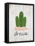 Cactus Dream-Kimberly Allen-Framed Stretched Canvas