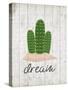 Cactus Dream-Kimberly Allen-Stretched Canvas