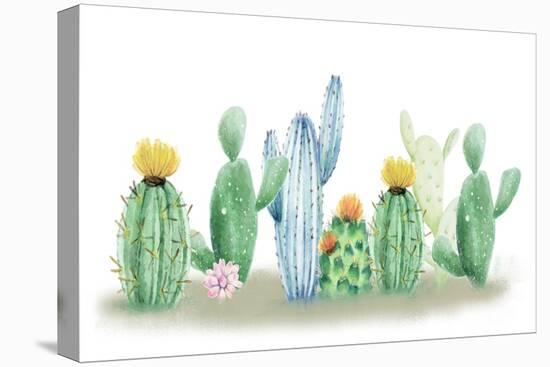 Cactus Dreaming-Kimberly Allen-Stretched Canvas