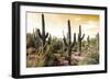 Cactus Field Under Golden Skies-Bill Carson Photography-Framed Art Print