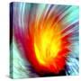 Cactus Fire-Douglas Taylor-Stretched Canvas