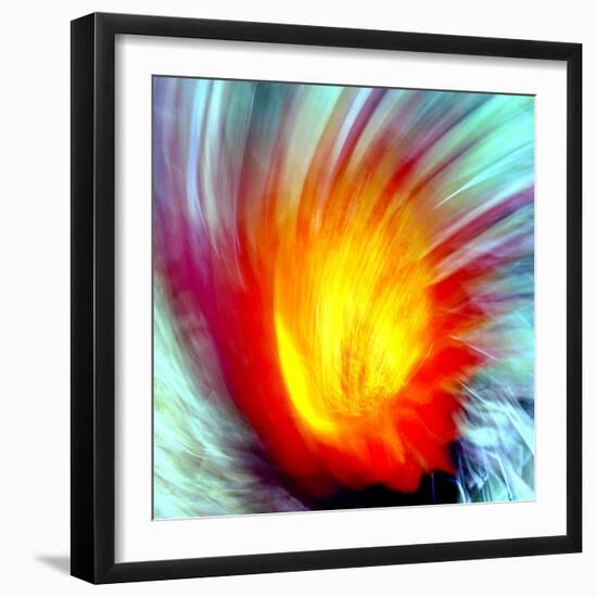 Cactus Fire-Douglas Taylor-Framed Photographic Print