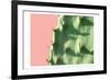 Cactus Flat-Sheldon Lewis-Framed Art Print