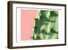 Cactus Flat-Sheldon Lewis-Framed Art Print