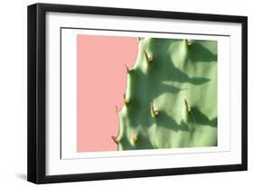 Cactus Flat-Sheldon Lewis-Framed Art Print