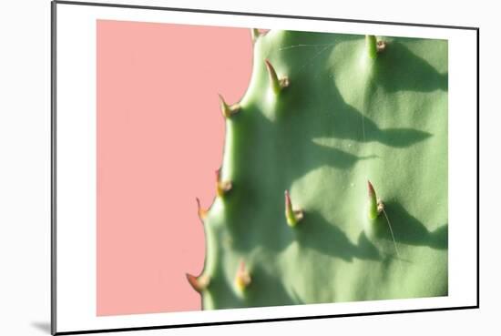 Cactus Flat-Sheldon Lewis-Mounted Art Print