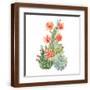 Brown Frame