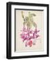 Cactus Flower-Charles Rennie Mackintosh-Framed Giclee Print