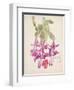 Cactus Flower-Charles Rennie Mackintosh-Framed Giclee Print