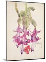 Cactus Flower-Charles Rennie Mackintosh-Mounted Giclee Print