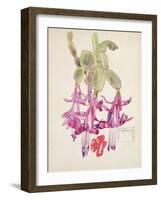 Cactus Flower-Charles Rennie Mackintosh-Framed Giclee Print