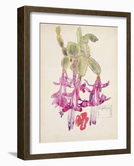 Cactus Flower-Charles Rennie Mackintosh-Framed Giclee Print