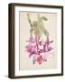 Cactus Flower-Charles Rennie Mackintosh-Framed Giclee Print