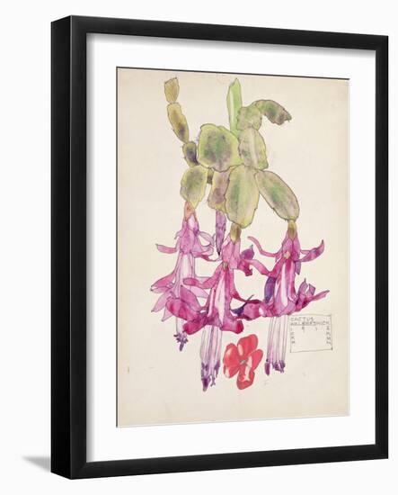 Cactus Flower-Charles Rennie Mackintosh-Framed Giclee Print