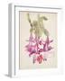 Cactus Flower-Charles Rennie Mackintosh-Framed Giclee Print